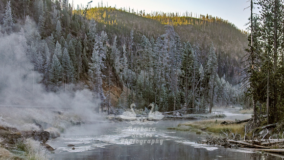 The Madison River in Yellowstone