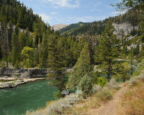 Snake River-Lunch Counter Rapids