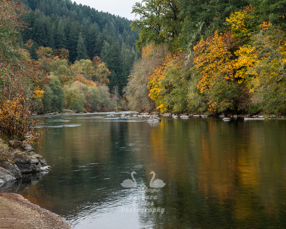 McKenzie River, Oregon