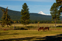 Beautiful Ranch View Two