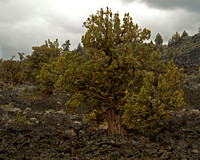 Lava Beds National Monument