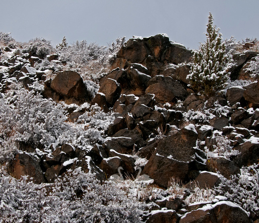 Lava Rock After a Snow
